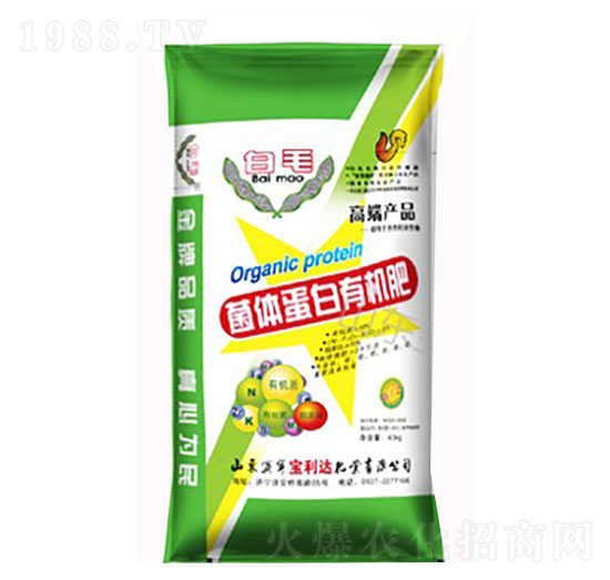 ���w�����ЙC�ʣ����w����-�����_