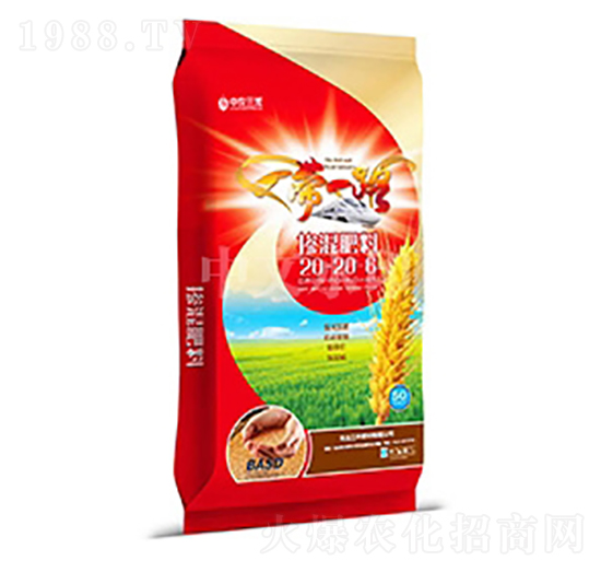 �������20-20-6-���r(n��ng)����