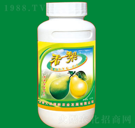 ���挣������\�F�}��-�����