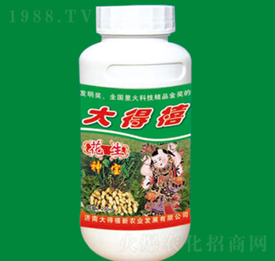 ������-�����