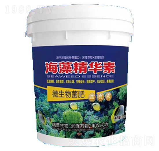 ���徫�A��-��������