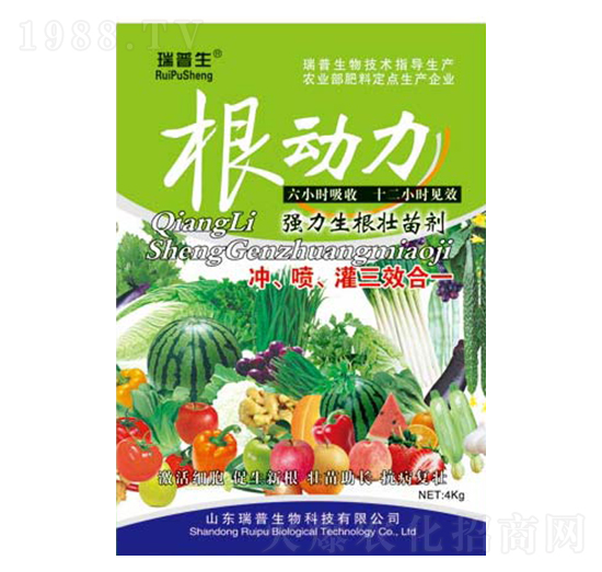 ����(d��ng)��-��������