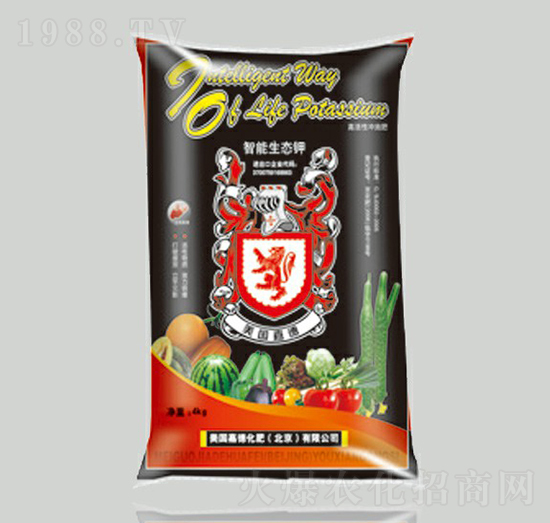 �������B(t��i)�-���r�ʘI(y��)