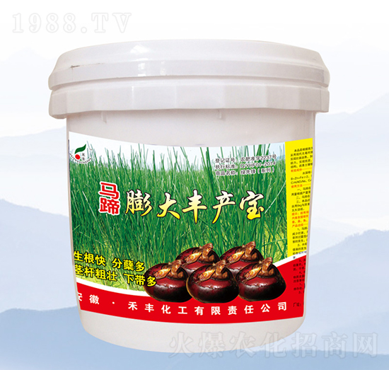 �R������S�a(ch��n)��-���S