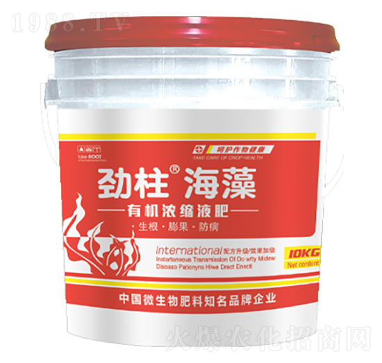 �ЙC(j��)��sҺ��-����������-형r(sh��)�