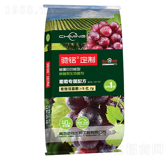 ���Ѷ��Ʒ�-�Y�����