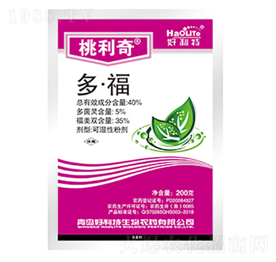 40%�ࡤ��-������-����������