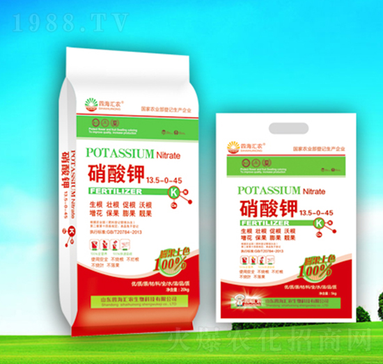 �����-�ĺ��R�r(n��ng)