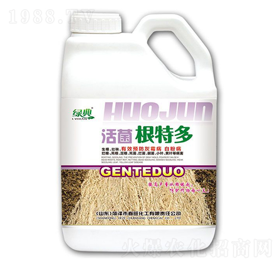 ������ض�-�G��-��������