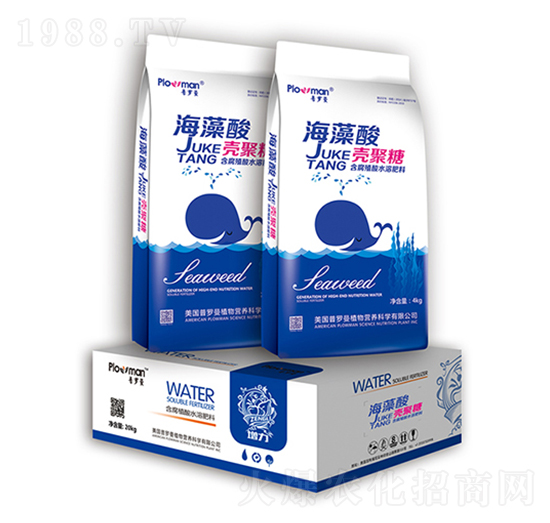 �����ᚤ����-���_��-ꖹ�ʘI(y��)