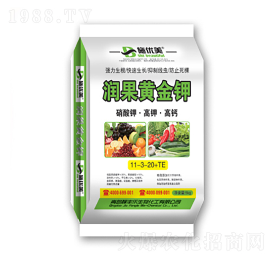 ����⛡���⛡����}11-3-20+TE-�����S���-��������