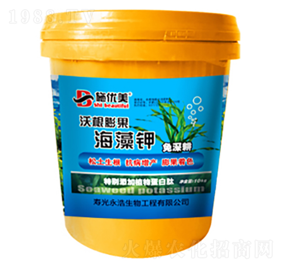 �ָ���������-��������