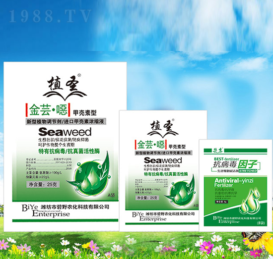 ���|���f-1+1-ֲʥ-��Ұ�r(n��ng)��