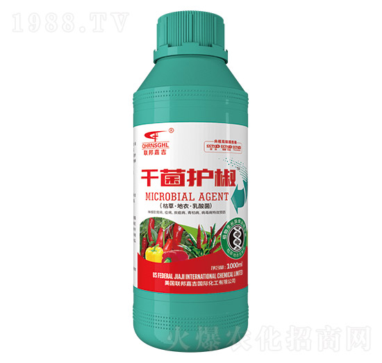 �ݲݡ����¡������-ǧ���o��-(li��n)��μ�
