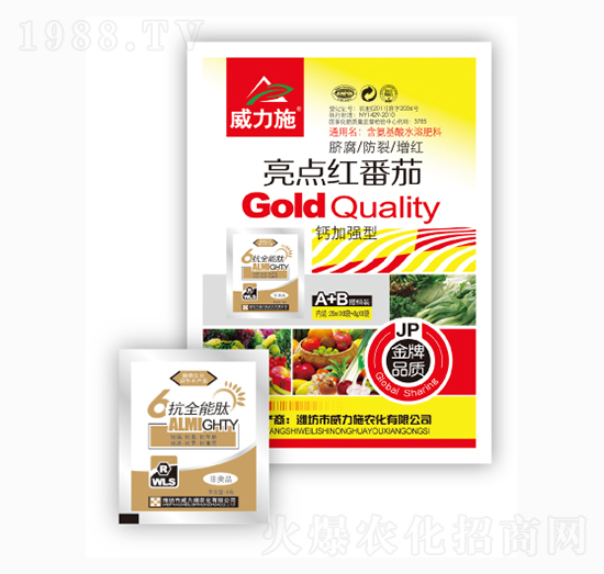 ���c(di��n)�t����-����ʩ