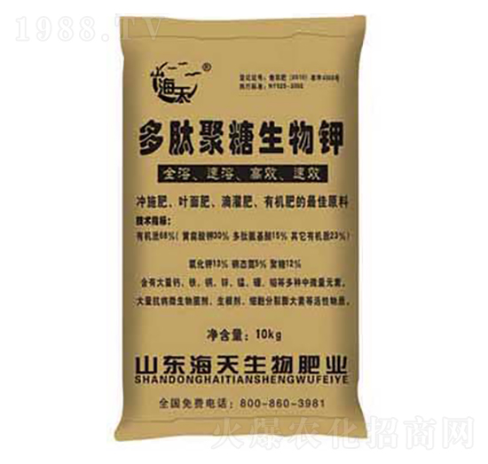 ���ľ��������-��������