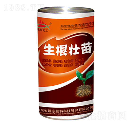 ��������-�h�|����