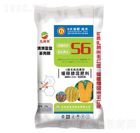 �M�M�ǵǓ������-�����S-��l(f��)�ʘI(y��)