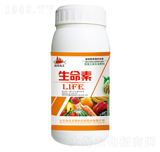 ������-�h�|����