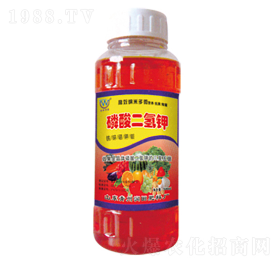 ��������-�h(yu��n)�|����