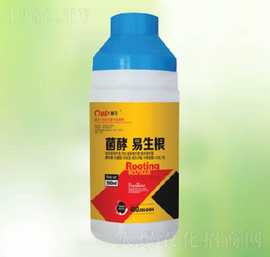 ����������-�|������