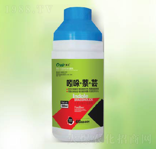 �������|-�|������