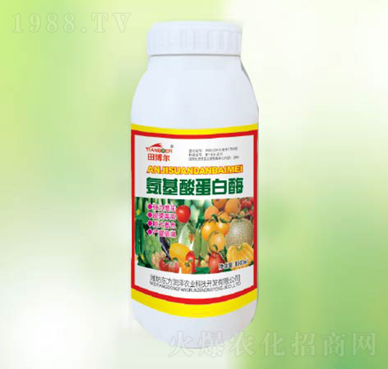 �����ᵰ��ø-�|������