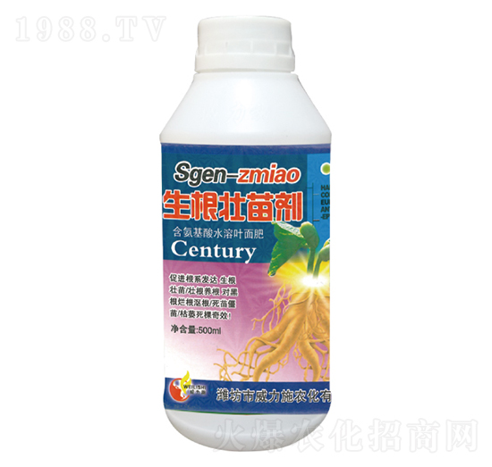 �������焩-����ʩ