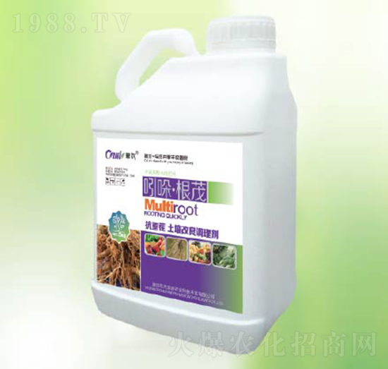 �����ï-�|������