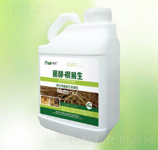 ���͸�����-�|������