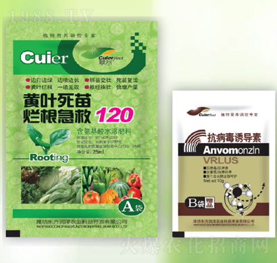 �S�~���砀������120+�������T����-�|������