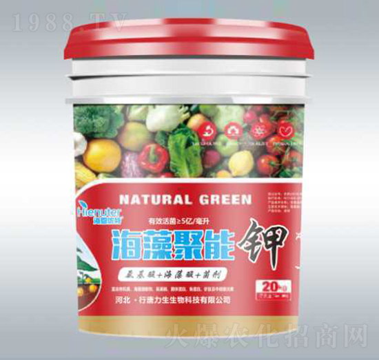 ��������-��������