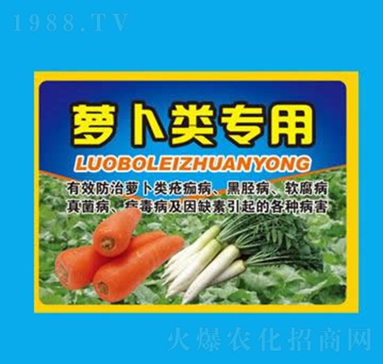 �}�����-��������