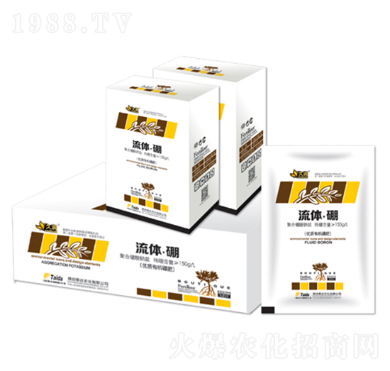 ���w�𣨺У�-̩�_�r��