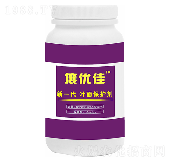 ƿ�b�~�汣�o(h��)��-����(y��u)��-��������