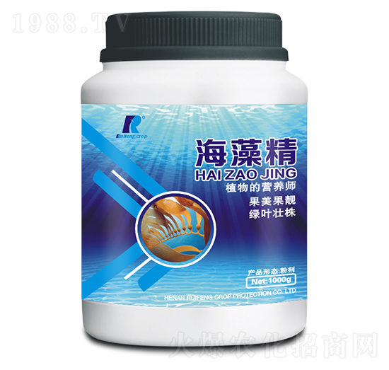 1000g���徫-�J�S����