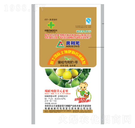 ���֌��÷�1̖(h��o)24-5-13-�W����-�W��
