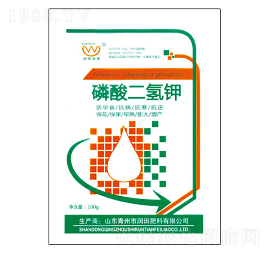 100g��������-�h�|����