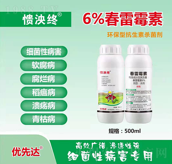 6%����ù��-����K-��(y��u)���_(d��)