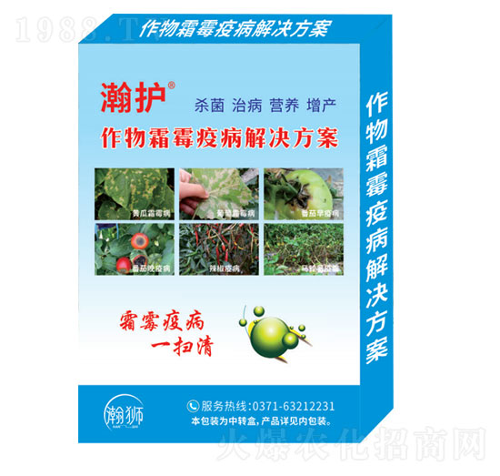 ����˪ù�߲���Q����-��o-嫪{�r(n��ng)�I(y��)