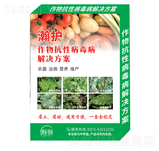 ���￹�Բ�������Q����-��o(h��)-嫪{�r(n��ng)�I(y��)