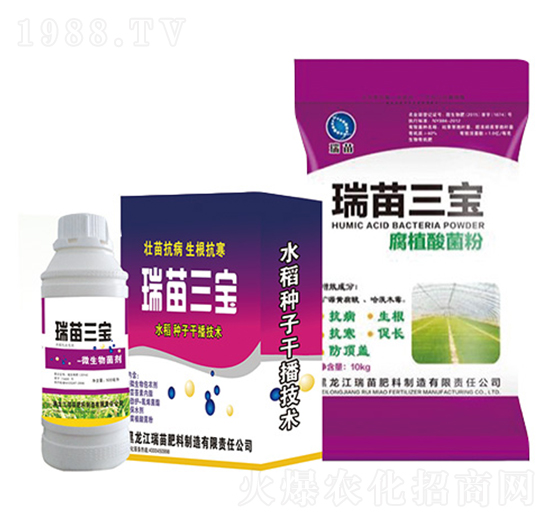 ��������-����