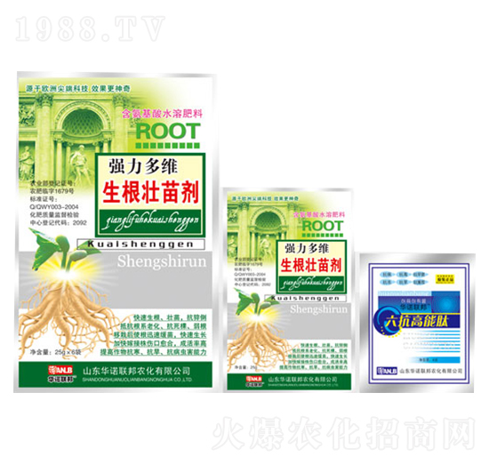 ��S�������焩-�A�Z��