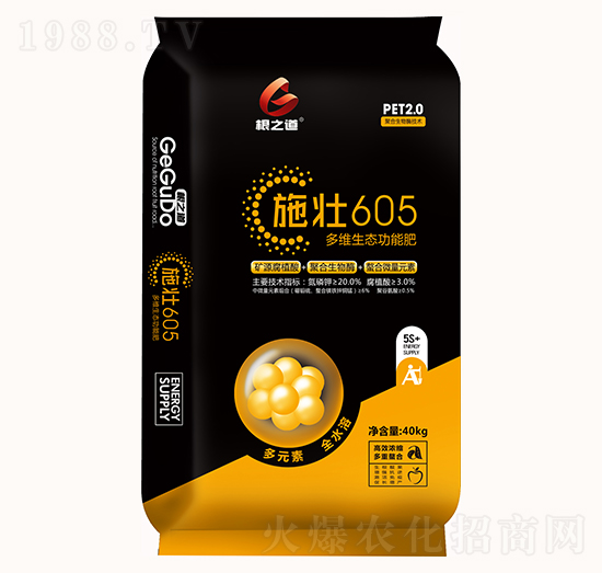 ��S���B(t��i)���ܷ�-ʩ��605-��֮��