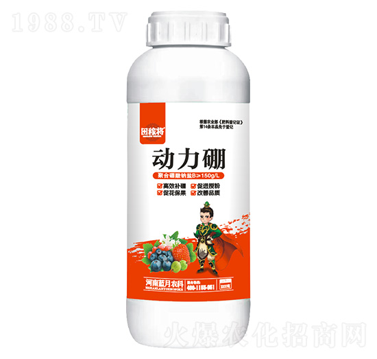 ������-��ڌ�-�{���r(n��ng)��