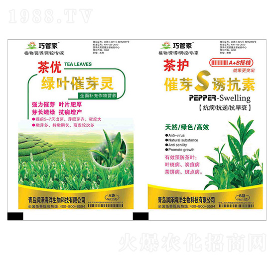 �胞(y��u)�G�~��ѿ�`+���o(h��)��ѿS�T����-�ɹܼ�-��(r��n)��
