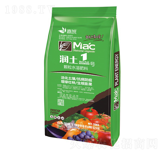 ����1̖-ؐ������