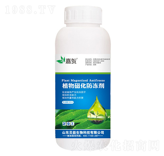 ֲ��Ż�������-���R-ؐ������