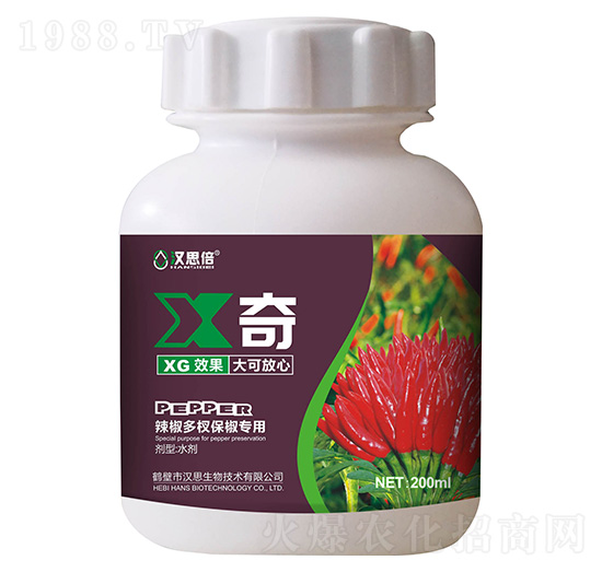 ������辱�������-X��-�h˼����