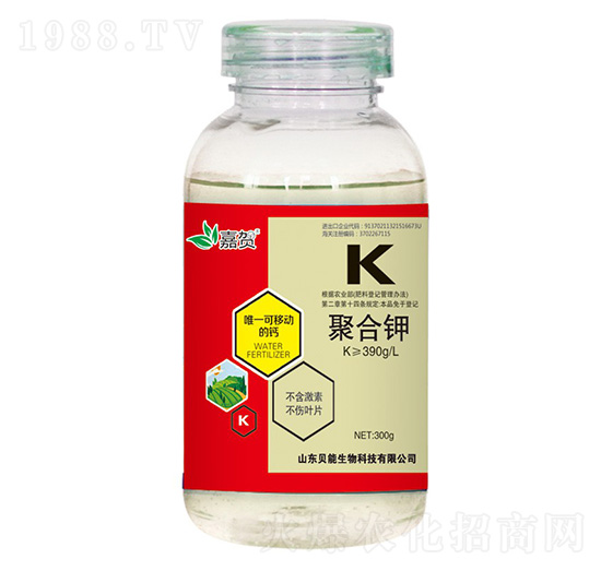 �ۺ��-ؐ������